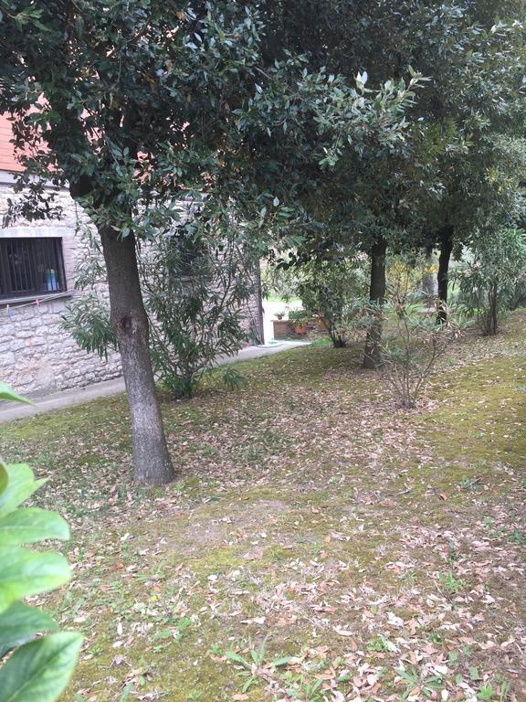 Appartamento Dell Agriturismo Pane E Olio Todi Exteriör bild