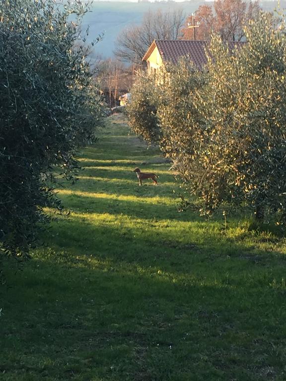 Appartamento Dell Agriturismo Pane E Olio Todi Exteriör bild