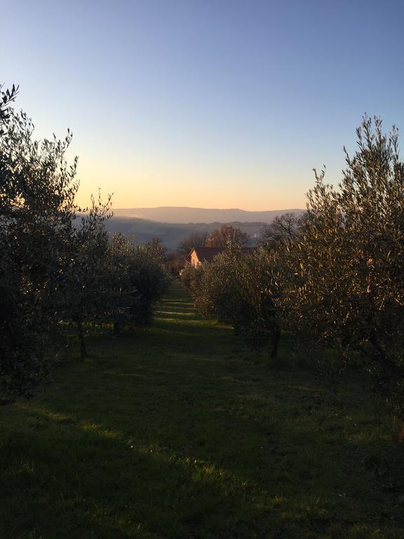 Appartamento Dell Agriturismo Pane E Olio Todi Exteriör bild
